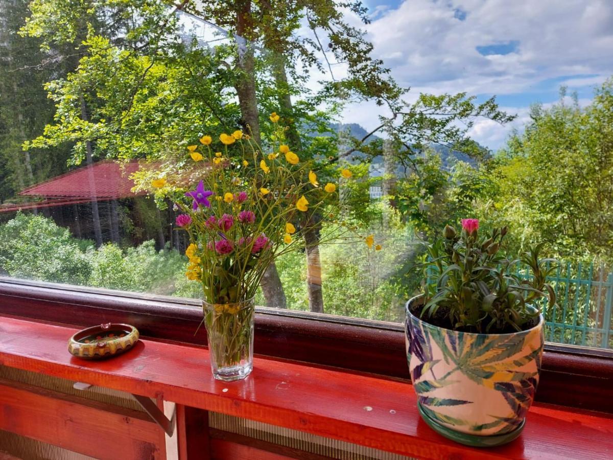Casa De Vacanta Paraul Rece Eksteriør bilde